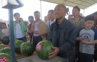 广西过年吃瓜群众视频,热闹非凡的街头瓜摊，民众欢聚共享年味