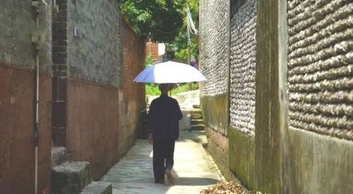 莱芜公园吃瓜事件真相视频,真相视频揭露惊人内幕