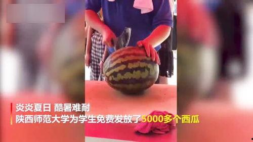 陕西老汉吃瓜视频大全集