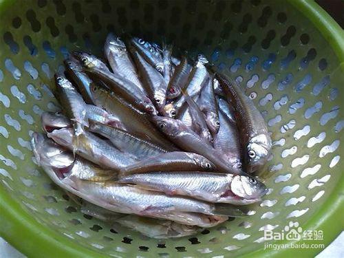 大黄小鱼吃瓜视频