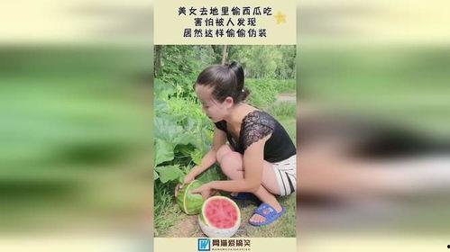 地里偷瓜吃的视频,田间地头欢乐多