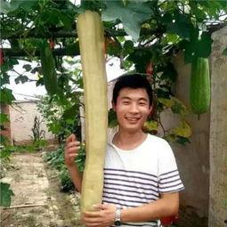 农村女人吃瓜视频大全,视频大全集锦